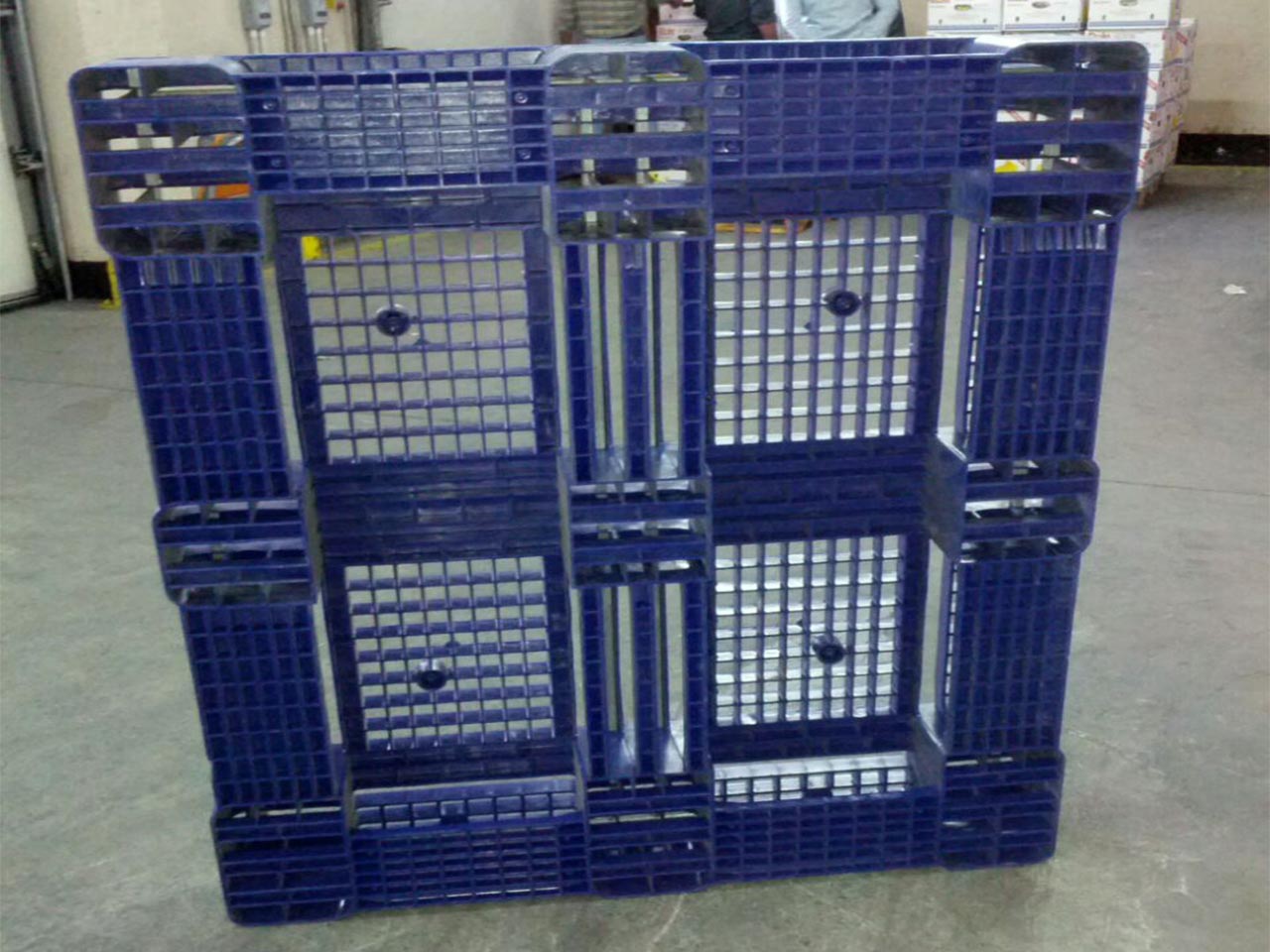 navy blue plastic pallet